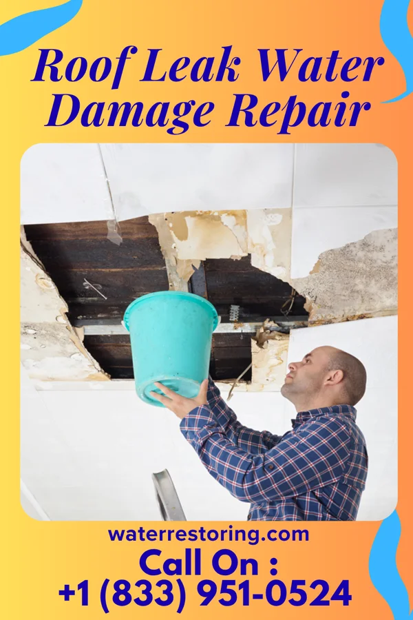 Roof Leak Water Damage Repair in Buckley, WA